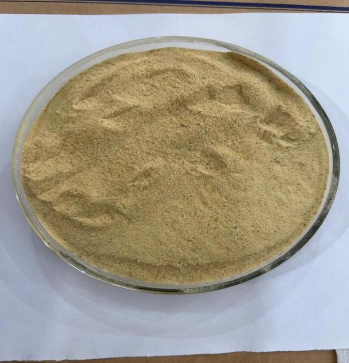 Brewers Yeast For Animal Feed With High Real Protein 0
