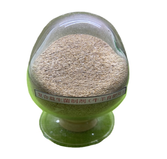 Guanidine Acetic Acid Prebiotics Probiotics Powder Blend Effective Live Probiotics 2 Billion For Ruminant Fatten Feed 0