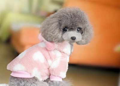 Multivitamins Supplement Multifunctional Tablet Cats And Dogs Natural Immune Support And Allergy Relief For Dog 2