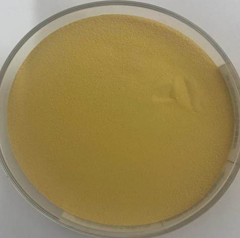 Beer Yeast Powder Feed Additive 50-70% Crude Protein for Livestock 2