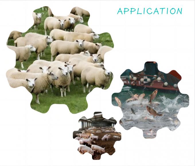 Yeast Nano Selenium Feed Additive 2000mg/kg for Livestock Poultry 1