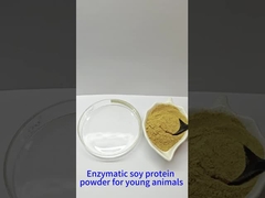 soy protein powder for young animals feed additives