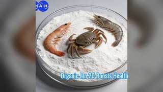Boost Animal Health Organic Mn 20 Feed Additive