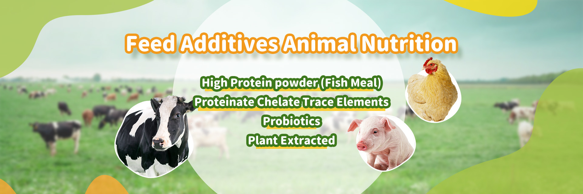 quality Amino Acid Feed Additives factory