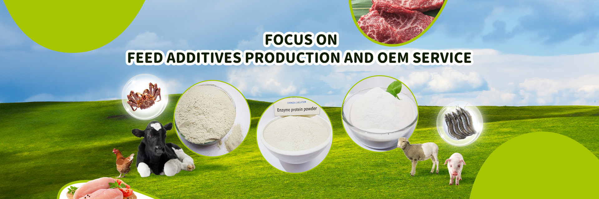 quality Amino Acid Feed Additives factory