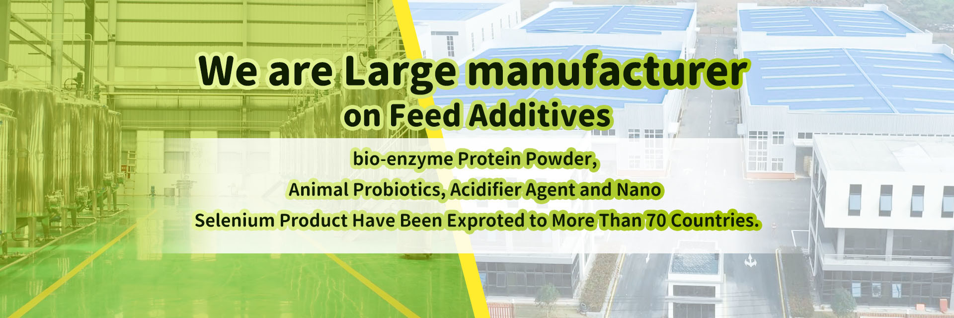 quality Amino Acid Feed Additives factory