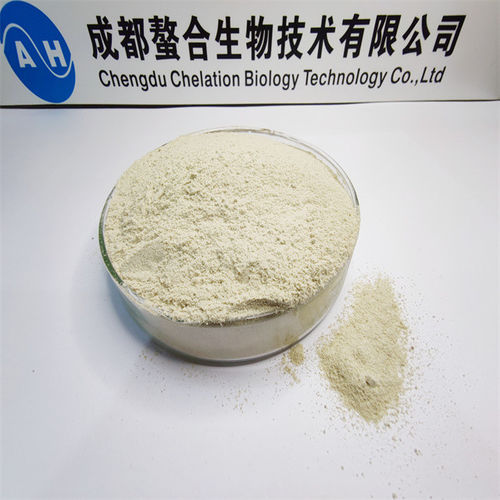 Latest company news about Absorption characteristics of small peptides