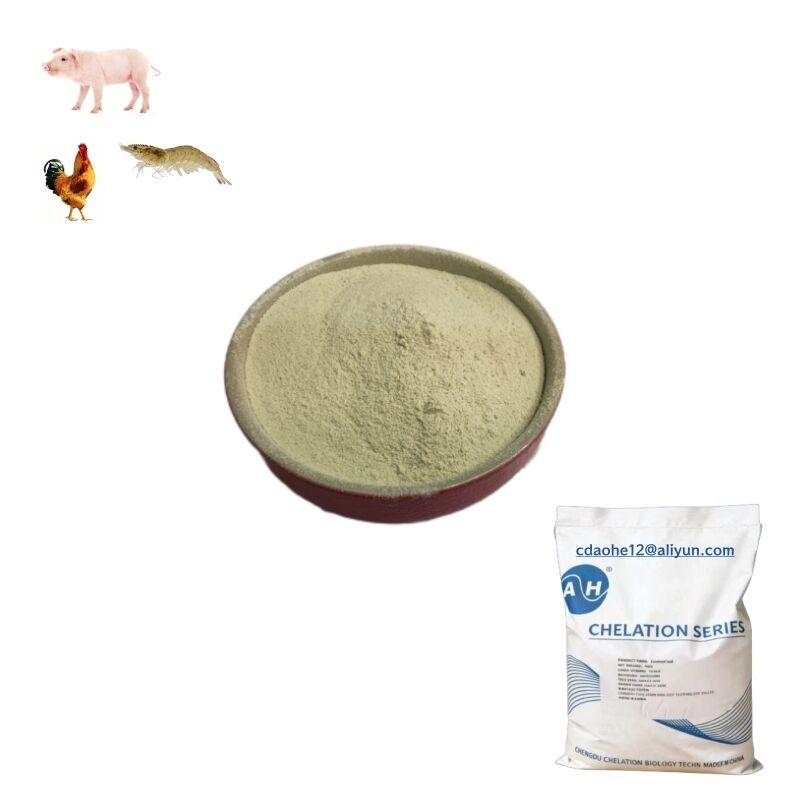 90% Protein Poultry Supplement with High Absorption Rate