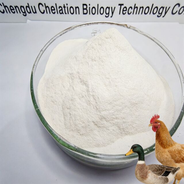 Fish Protein Powder with 90% Crude Protein for Aquafeed