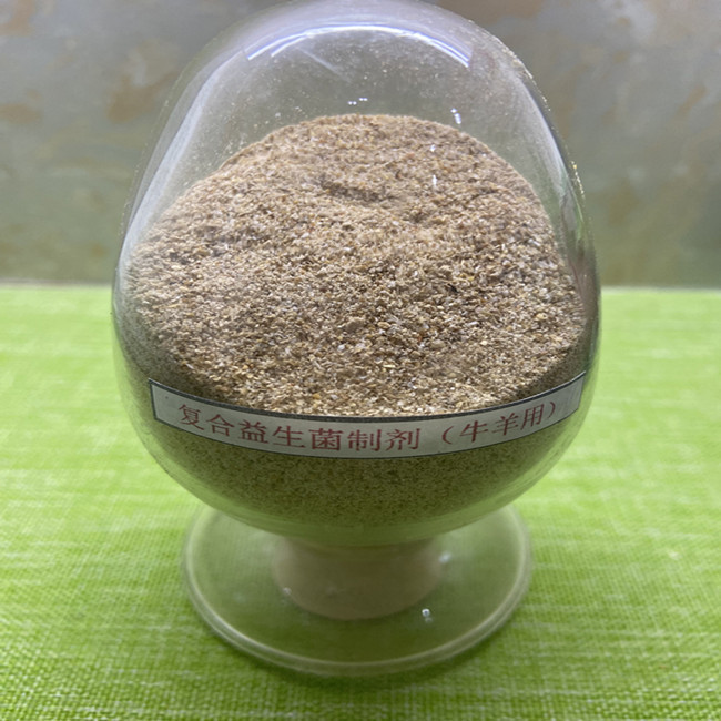 Guanidine Acetic Acid Bacteria Probiotics Powder Blend Effective Live ...